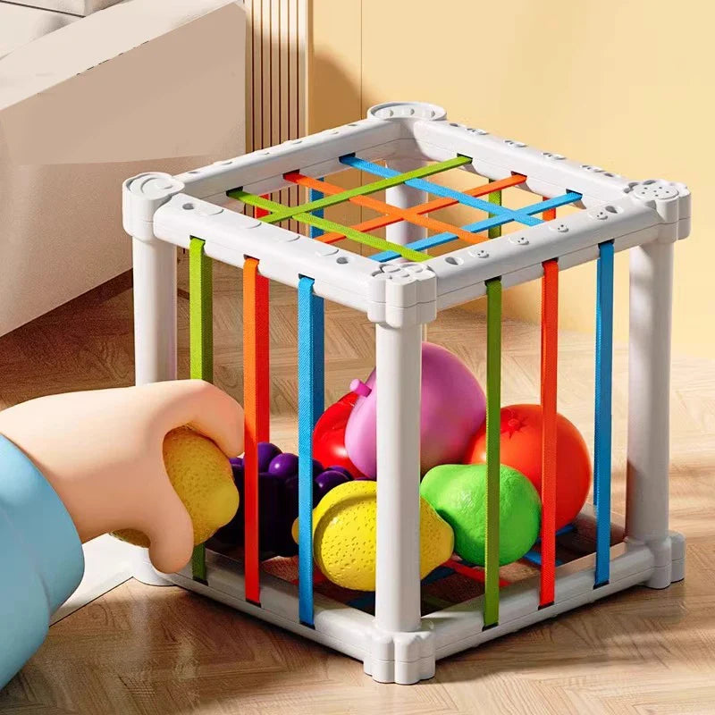 Fruit Box™ - Snijden, Spelen, Leren - Fruit in doos