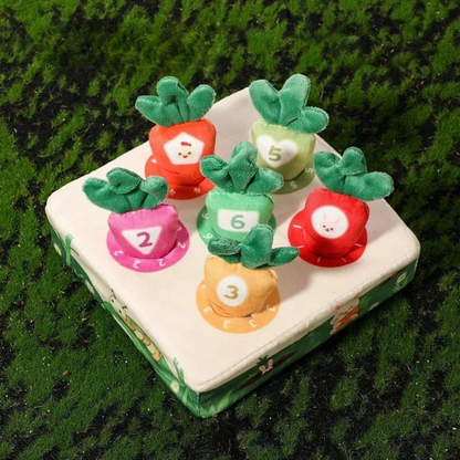 Sensorische Wortelen – Voelen &amp; Plukken – Zintuiglijk Speelgoed 