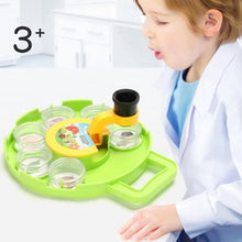 Insect Observation Box™ - Verzamelen en verken - Insectenkijker