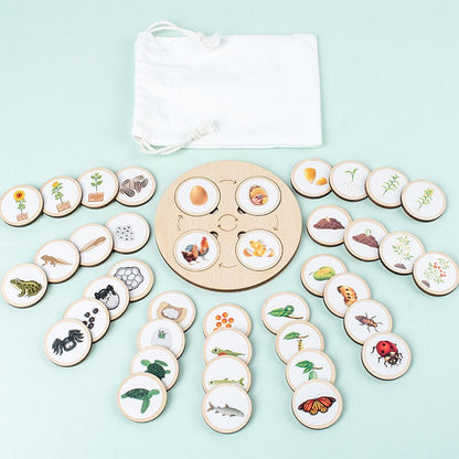 Woods™ - Leer de levenscyclus ontdekken! - Houten puzzel