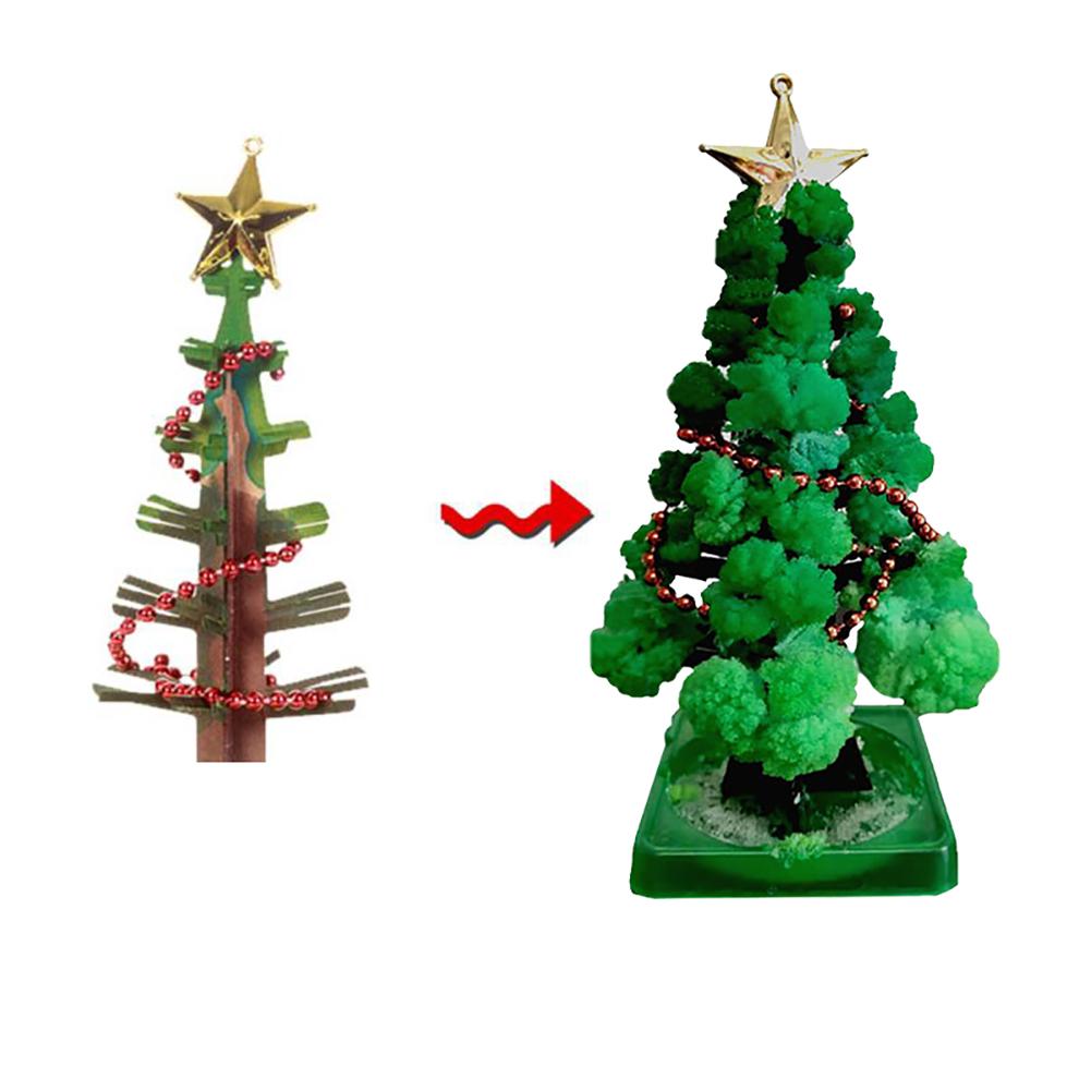 GrowTree™ - Kweek je eigen kerstboom! - Kerstboom kweekset (1+1 GRATIS)