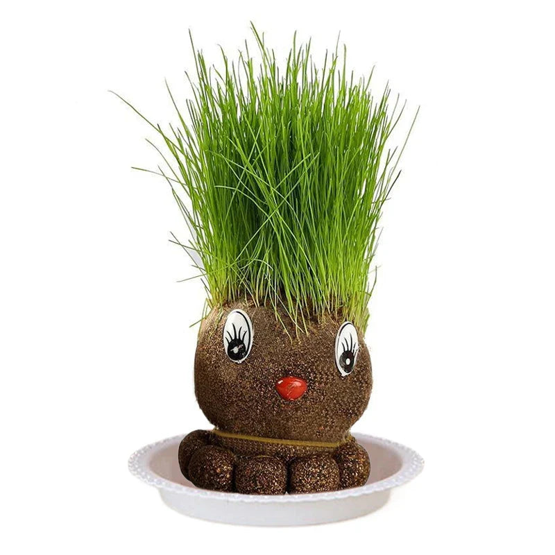 Figure Plants™ - Leer planten verzorgen - Thuis Decoratie Planten 