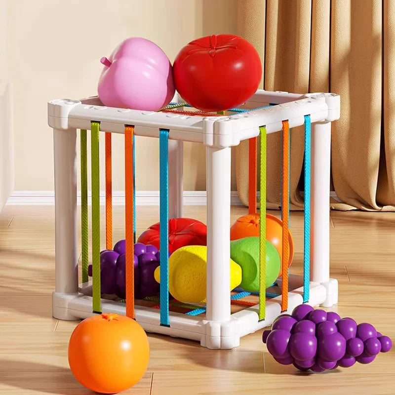 Fruit Box™ - Snijden, Spelen, Leren - Fruit in doos 