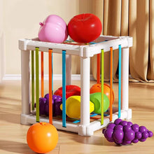 Fruit Box™ - Snijden, Spelen, Leren - Fruit in doos 