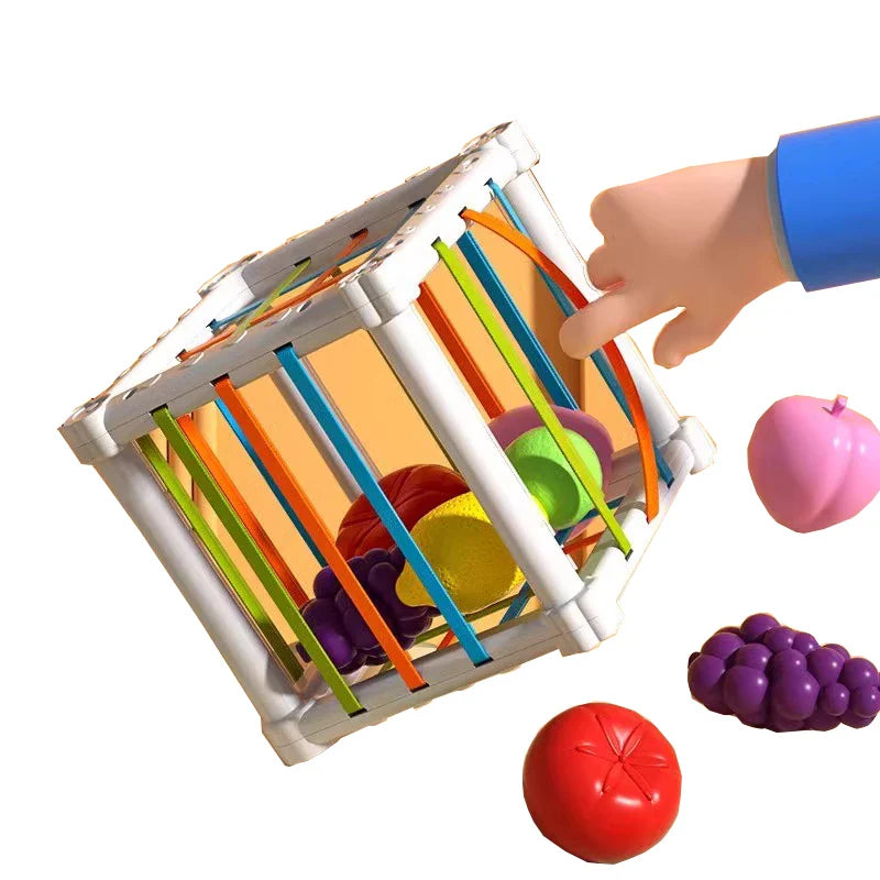 Fruit Box™ - Snijden, Spelen, Leren - Fruit in doos 