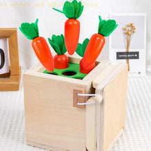Smart Carrots – Kleuren &amp; Vormen – Houten Sorteer Speelgoed 
