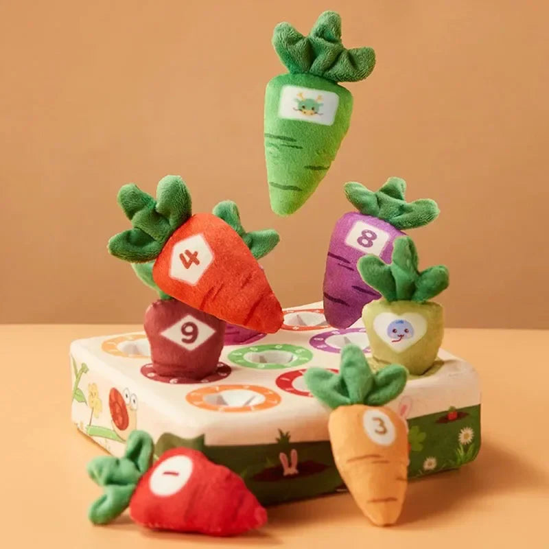 Sensorische Wortelen – Voelen &amp; Plukken – Zintuiglijk Speelgoed 